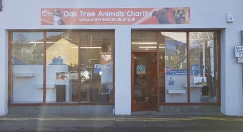 Oak tree hot sale animal rescue